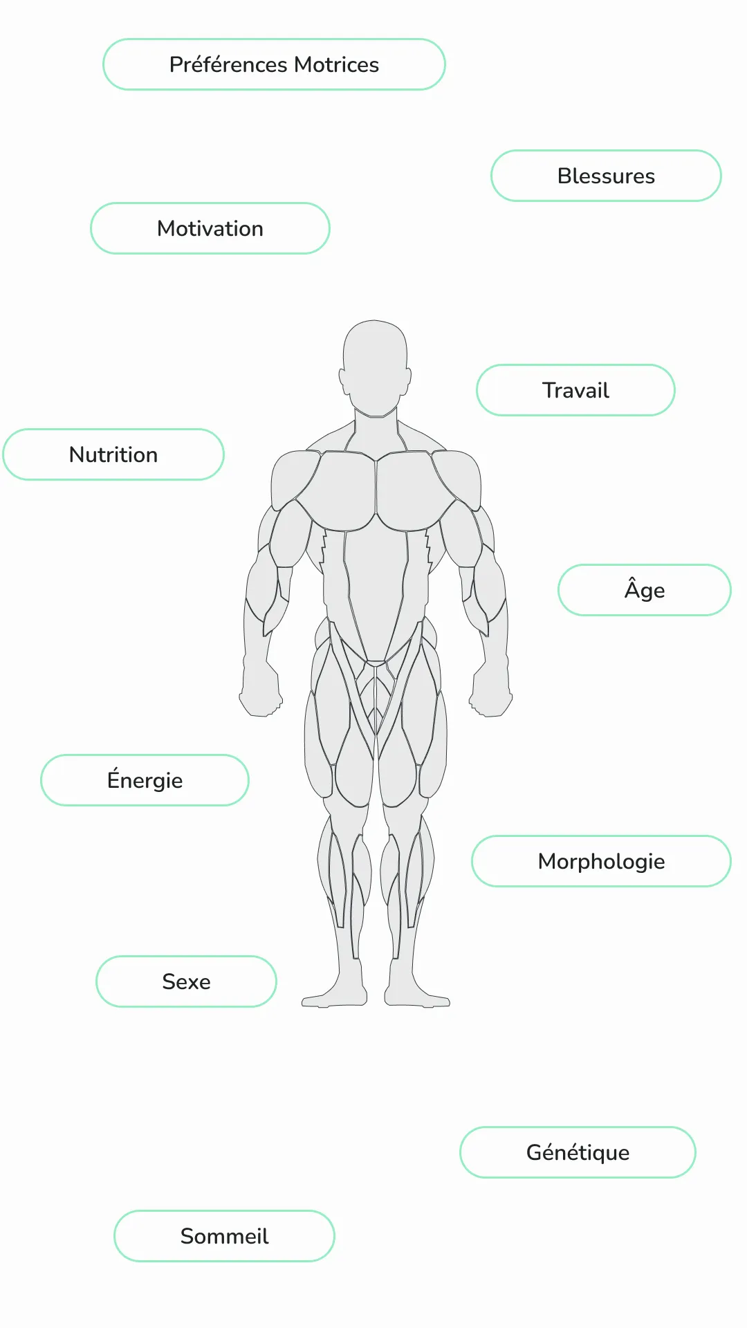 Illustration de l'individualisation de l'entrainement